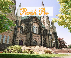 ParishPro-WebSite0202